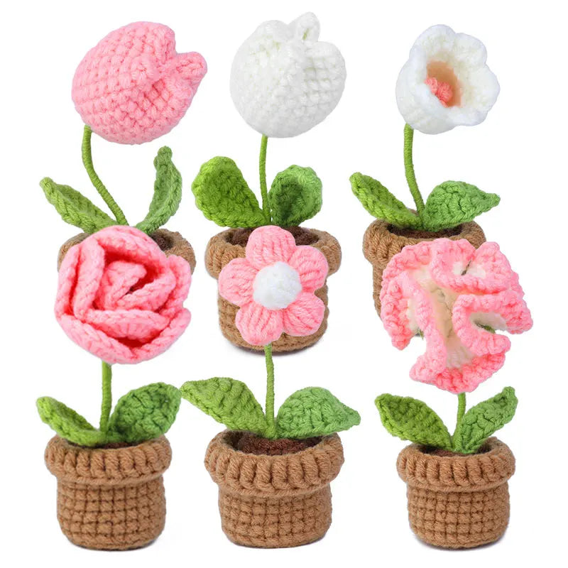 6 Rosas Marias