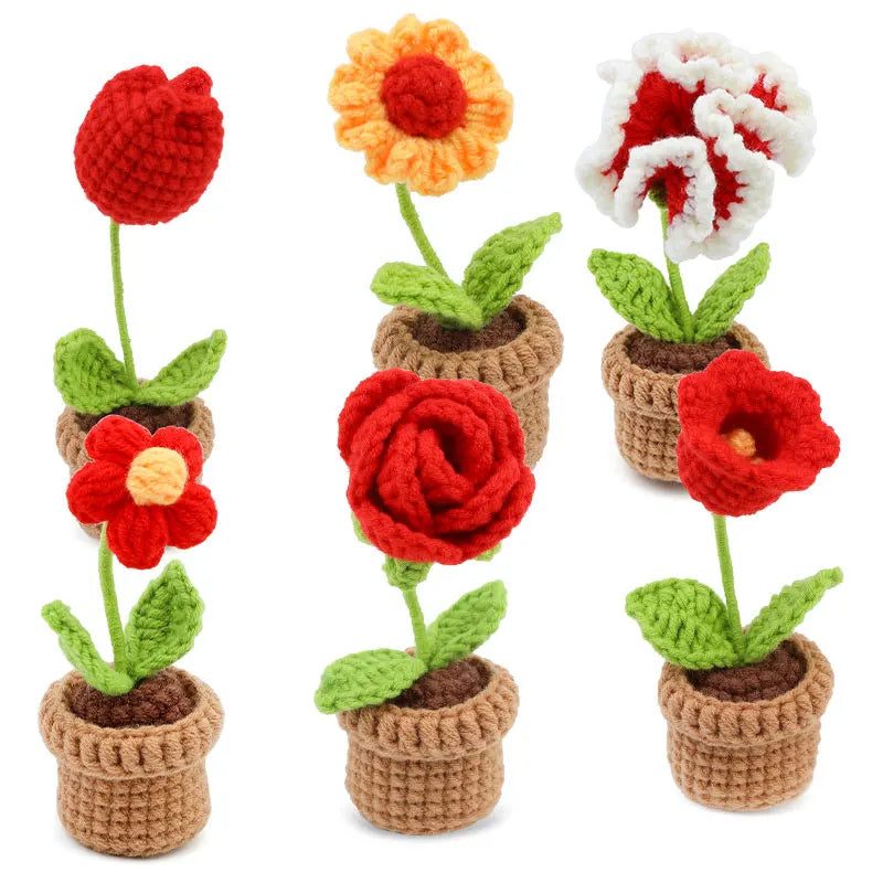 6 Rosas Marias