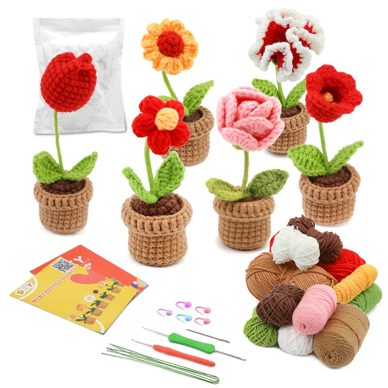 6 Rosas Marias