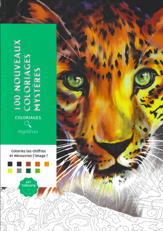 Animais, paisagens e pessoas - Pintura Numerada