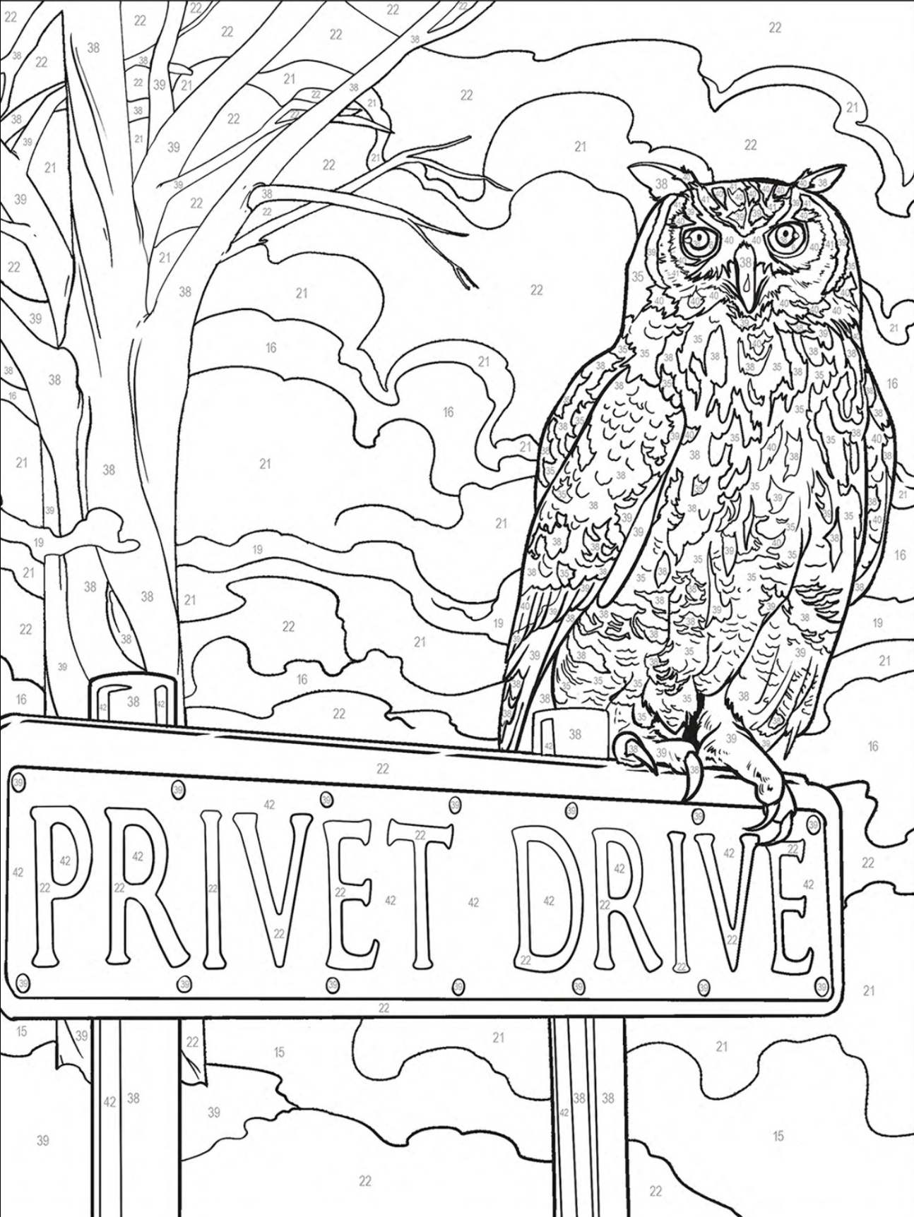 Harry Potter Pintura Numerada (livro físico)