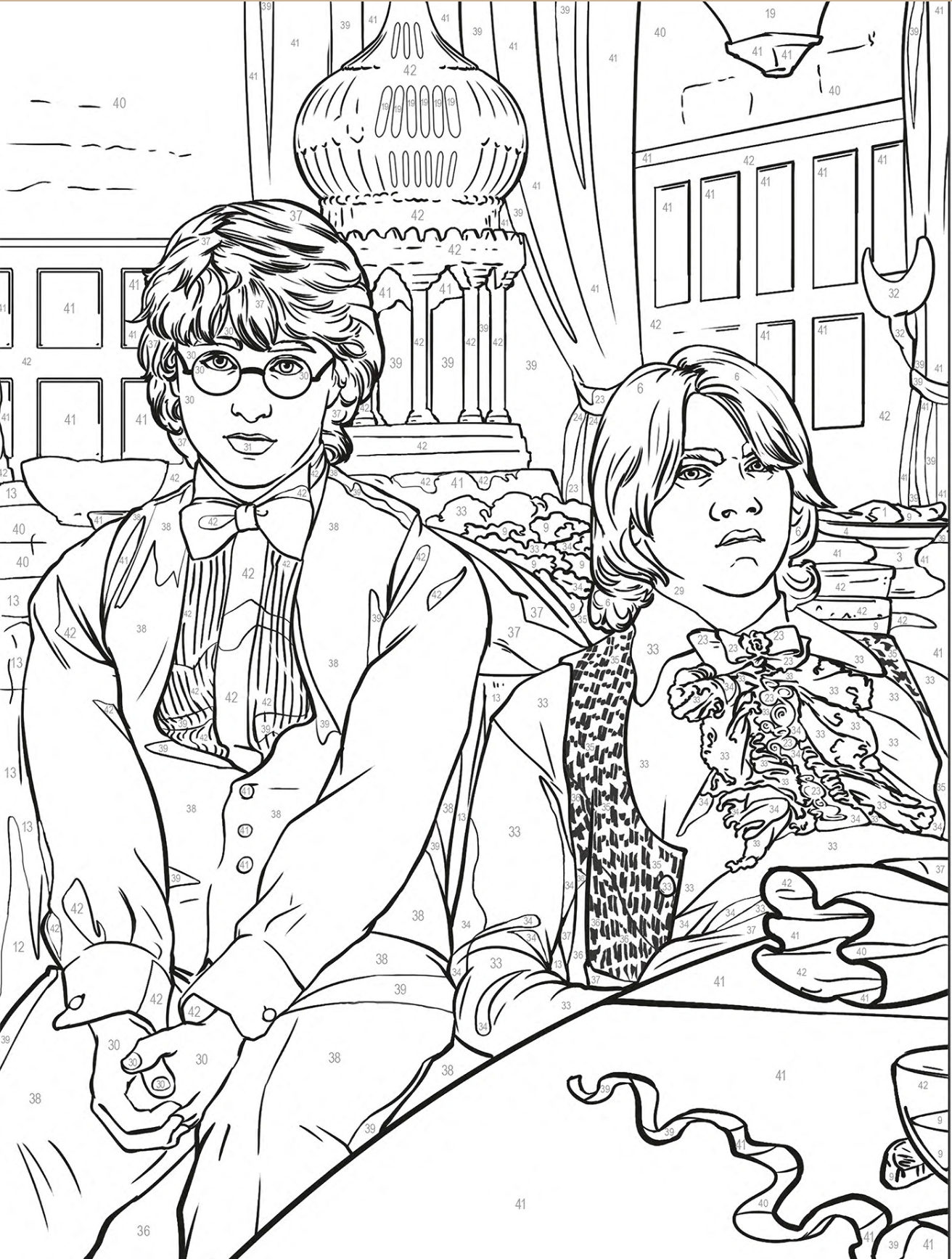 Harry Potter Pintura Numerada (livro físico)