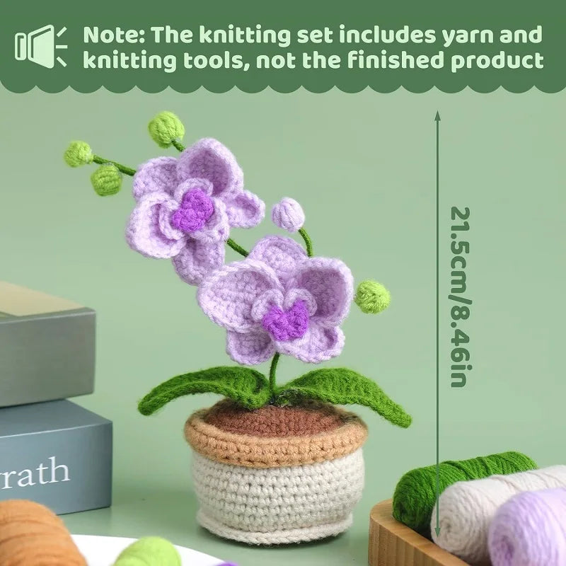 Orquídea DIY