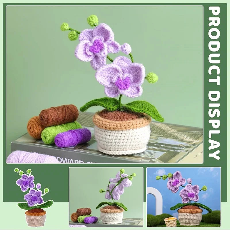 Orquídea DIY