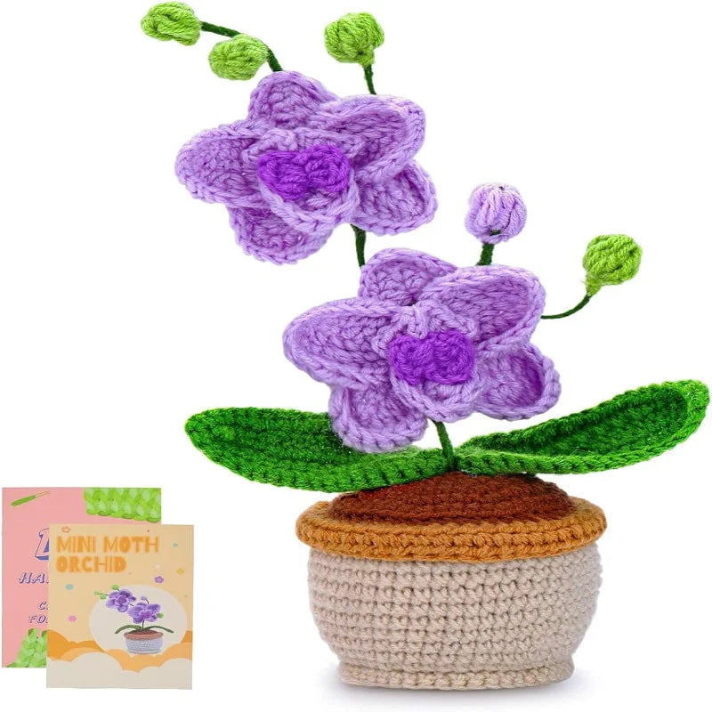 Orquídea DIY