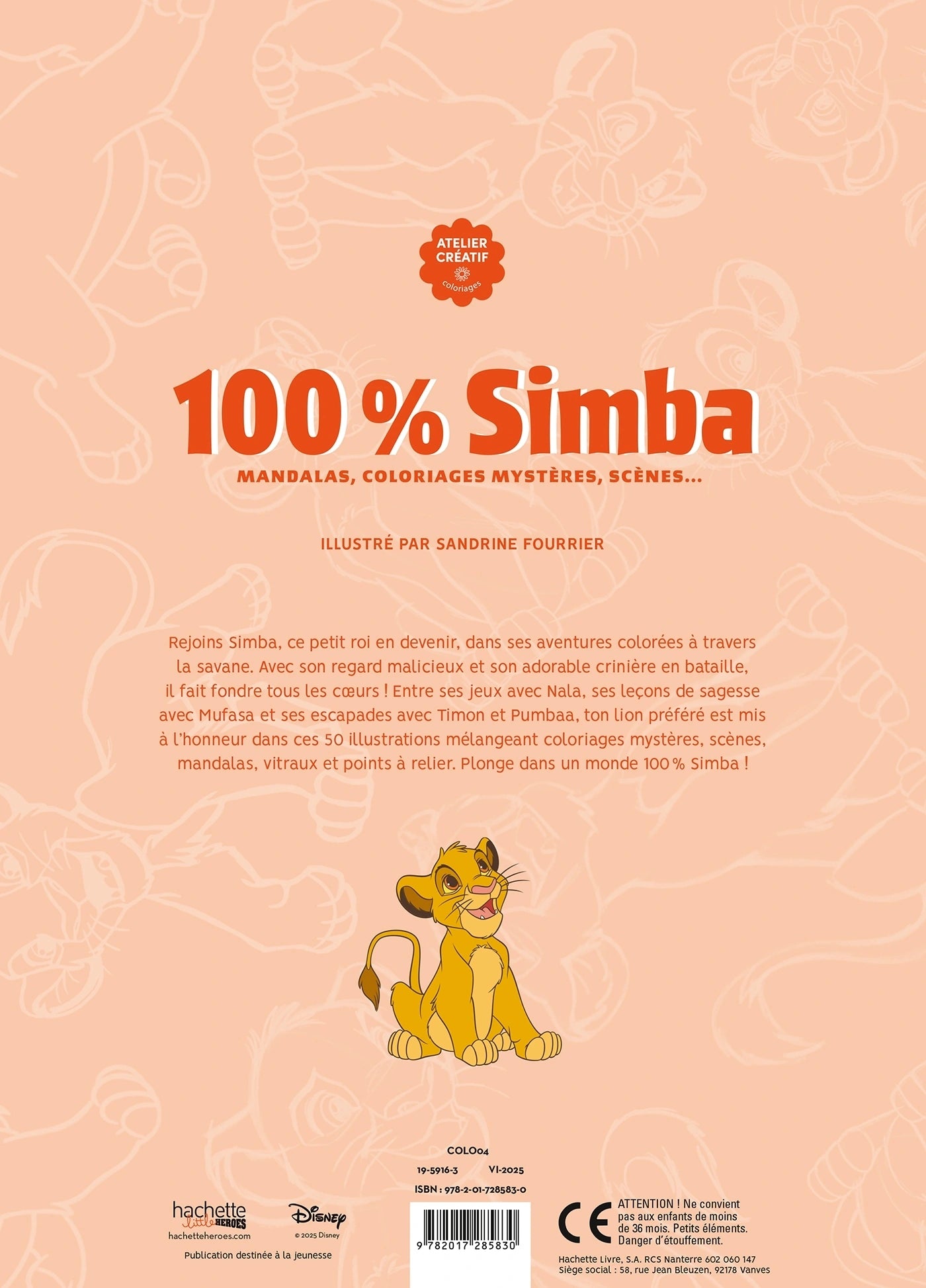 Pintura Numerada: Simba