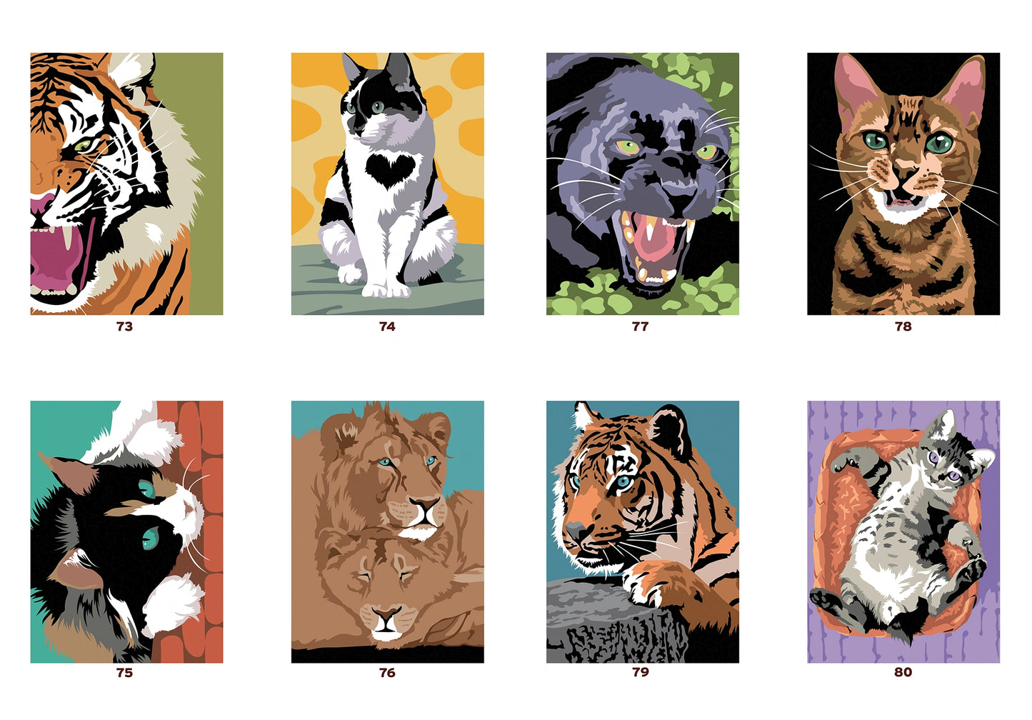Pintura Numerada: Gatos e felinos