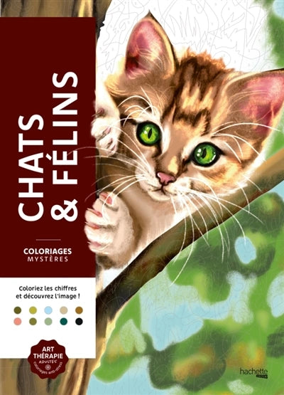 Pintura Numerada: Gatos e felinos
